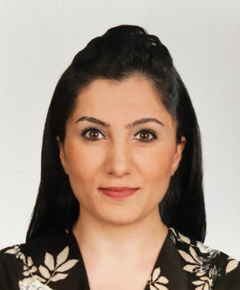 serpil demir