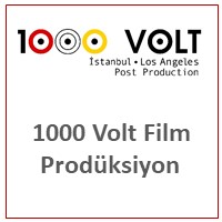 1000 volt
